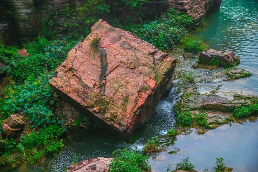 战锤：全面战争